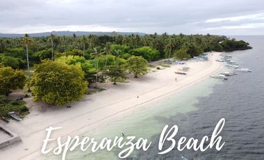 Flat Land for Sale – 6,386 SQM Prime Lot in Consuelo, San Francisco, Camotes Island, Cebu