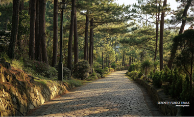 Begin your day with crisp mountain air and peaceful views — at Bern Baguio, even the balcony is a tranquil escape.