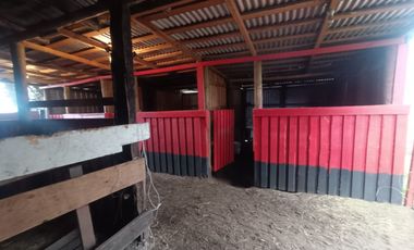 SE VENDE CAMPO 2.5 HECTÁREAS SECTOR SANTA FE