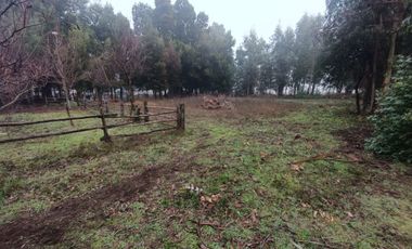 SE VENDE CAMPO 2.5 HECTÁREAS SECTOR SANTA FE