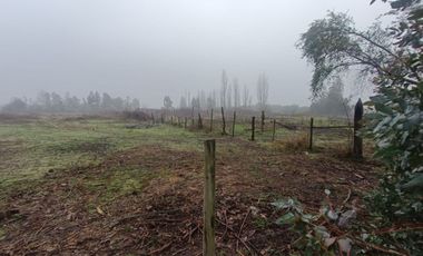 SE VENDE CAMPO 2.5 HECTÁREAS SECTOR SANTA FE