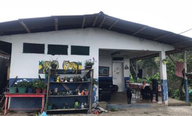 Venta Finca Cafetera Tecnificada Marsella Risaralda