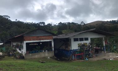 Venta Finca Cafetera Tecnificada Marsella Risaralda