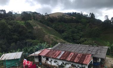 Venta Finca Cafetera Tecnificada Marsella Risaralda