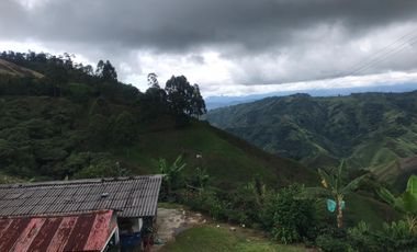 Venta Finca Cafetera Tecnificada Marsella Risaralda