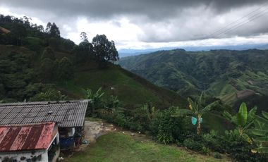 Venta Finca Cafetera Tecnificada Marsella Risaralda