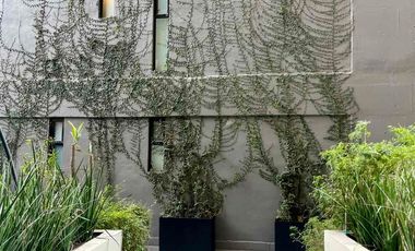 DEPARTAMENTO EN NARÀN