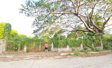 Farm/Residential Lot in Brgy Ambulong, Tanauan, Batangas