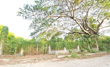 Farm/Residential Lot in Brgy Ambulong, Tanauan, Batangas