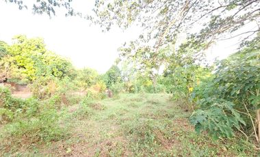 Farm/Residential Lot in Brgy Ambulong, Tanauan, Batangas