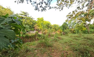 Farm/Residential Lot in Brgy Ambulong, Tanauan, Batangas