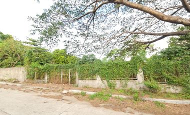 Farm/Residential Lot in Brgy Ambulong, Tanauan, Batangas