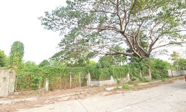 Farm/Residential Lot in Brgy Ambulong, Tanauan, Batangas