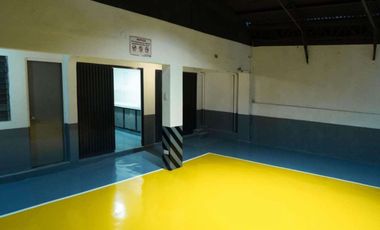 Modern 9 Bedroom House and Lot for Sale in Plainview, Mandaluyong City