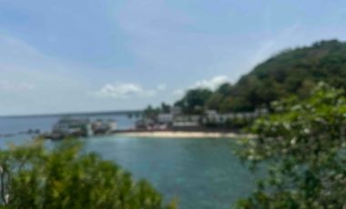 FOR SALE: Private Island in Bauan, Batangas