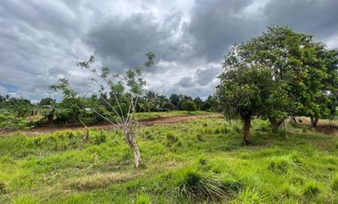 FOGGY SURROUNDINGS Metro Tagaytay Lot for Sale FREE TRANSFER OF TITLE