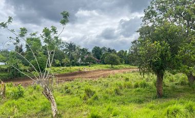 FOGGY SURROUNDINGS Metro Tagaytay Lot for Sale FREE TRANSFER OF TITLE