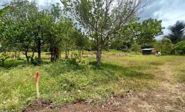 FOGGY SURROUNDINGS Metro Tagaytay Lot for Sale FREE TRANSFER OF TITLE