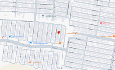 Kizil Kum, Oasis, Ver. ¡NO CRÉDITOS!