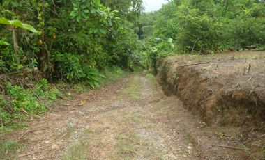 Venta Hacienda Agrícola en Santo Domingo de los Tsáchilas, Km 15 vía El Carmen, 18 Hectáreas, precio $400.000 dólares