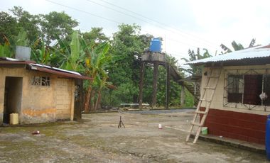 Venta Hacienda Agrícola en Santo Domingo de los Tsáchilas, Km 15 vía El Carmen, 18 Hectáreas, precio $400.000 dólares