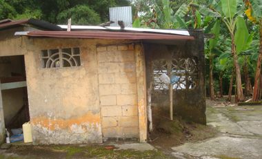 Venta Hacienda Agrícola en Santo Domingo de los Tsáchilas, Km 15 vía El Carmen, 18 Hectáreas, precio $400.000 dólares