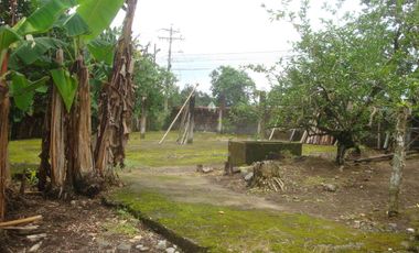 Venta Hacienda Agrícola en Santo Domingo de los Tsáchilas, Km 15 vía El Carmen, 18 Hectáreas, precio $400.000 dólares