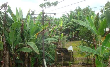 Venta Hacienda Agrícola en Santo Domingo de los Tsáchilas, Km 15 vía El Carmen, 18 Hectáreas, precio $400.000 dólares