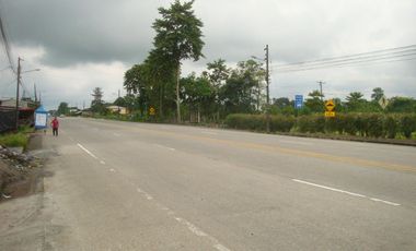 Venta Hacienda Agrícola en Santo Domingo de los Tsáchilas, Km 15 vía El Carmen, 18 Hectáreas, precio $400.000 dólares