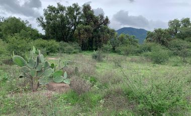 🛣️ TERRENO EN VENTA, CALLE CAPULIN 42925, LA LOMA, HIDALGO 🛣️