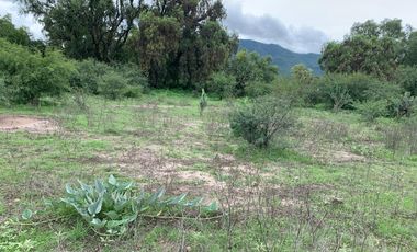 🛣️ TERRENO EN VENTA, CALLE CAPULIN 42925, LA LOMA, HIDALGO 🛣️