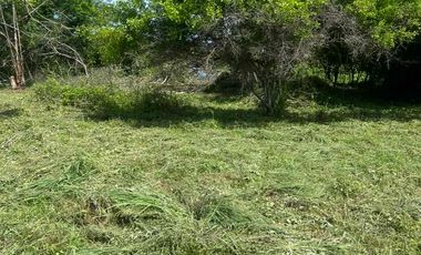 Ultimo terreno a 5 minutos del mar cerca de la Saladita Guerrero