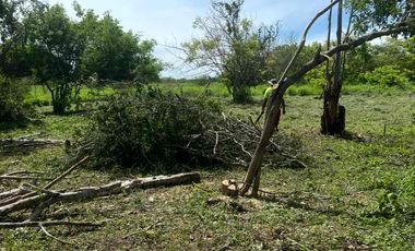 Ultimo terreno a 5 minutos del mar cerca de la Saladita Guerrero