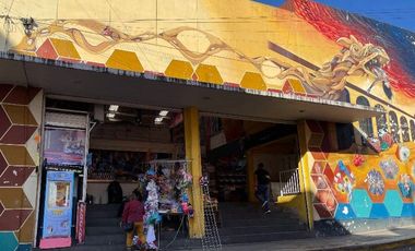 Hermosa Propiedad en Centro, Xalapa, Veracruz