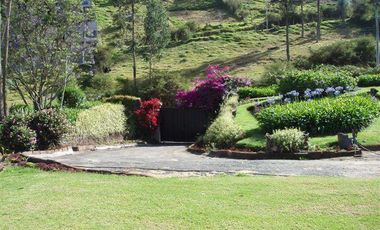 Casa en dos plantas de ladrillo y madera en un terreno de 25.000 m2 (2.5 hectáreas)