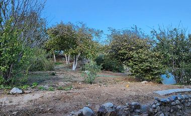 Casa en venta pueblo de Pelicana Valle del Elqui