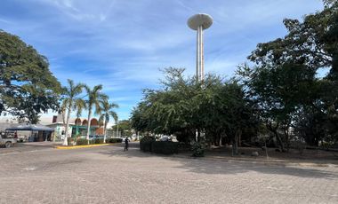TERRENO EN VENTA EN RINCON GUAYABITOS
