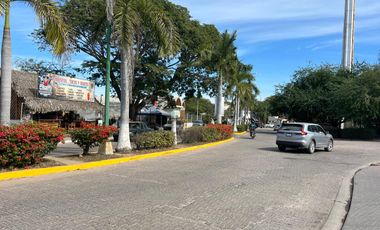 TERRENO EN VENTA EN RINCON GUAYABITOS