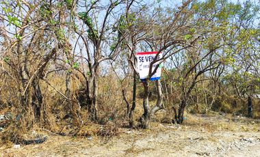 Vendo terreno plano de 200 m2, en Lomas del Morillo, Oaxtepec. Yautepec, Mor.