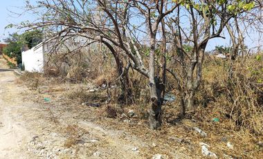 Vendo terreno plano de 200 m2, en Lomas del Morillo, Oaxtepec. Yautepec, Mor.