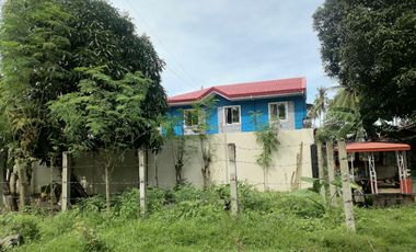 Siaton House and Lot – ID 15012