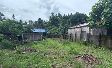 Siaton House and Lot – ID 15012