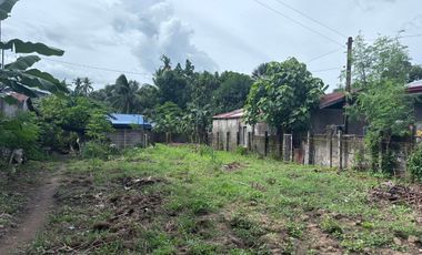 Siaton House and Lot – ID 15012