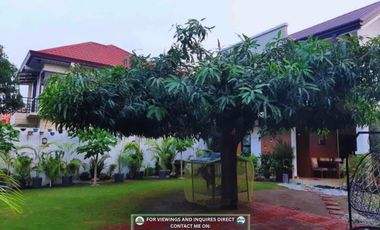 Corner Lot Dual Houses for SALE! (Bungalow & 2-Storey villa type) located in a Secured Village, San Fernando Pampanga!
