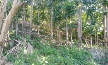 HOUSE AND LOT FOR SALE IN SAN JUAN, SIQUIJOR SIQ00167
