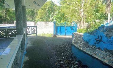 HOUSE AND LOT FOR SALE IN SAN JUAN, SIQUIJOR SIQ00167