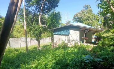 HOUSE AND LOT FOR SALE IN SAN JUAN, SIQUIJOR SIQ00167