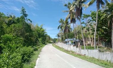 HOUSE AND LOT FOR SALE IN SAN JUAN, SIQUIJOR SIQ00167