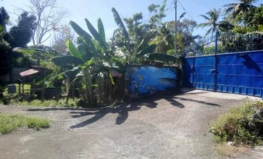 HOUSE AND LOT FOR SALE IN SAN JUAN, SIQUIJOR SIQ00167
