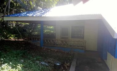 HOUSE AND LOT FOR SALE IN SAN JUAN, SIQUIJOR SIQ00167